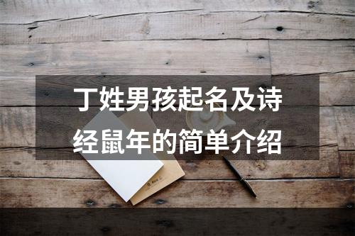 丁姓男孩起名及诗经鼠年的简单介绍