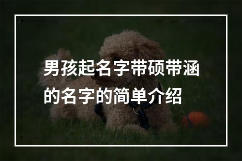 男孩起名字带硕带涵的名字的简单介绍