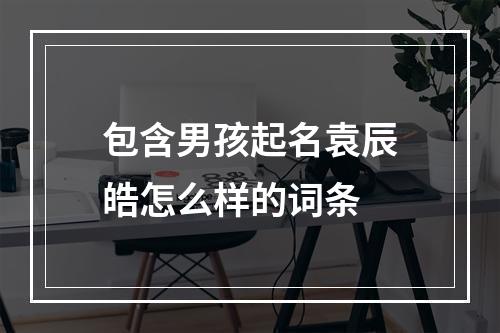 包含男孩起名袁辰皓怎么样的词条