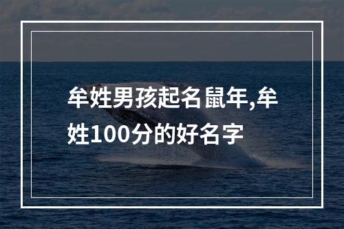 牟姓男孩起名鼠年,牟姓100分的好名字