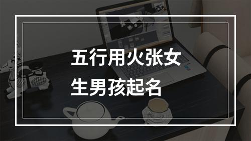五行用火张女生男孩起名