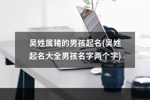 吴姓属猪的男孩起名(吴姓起名大全男孩名字两个字)