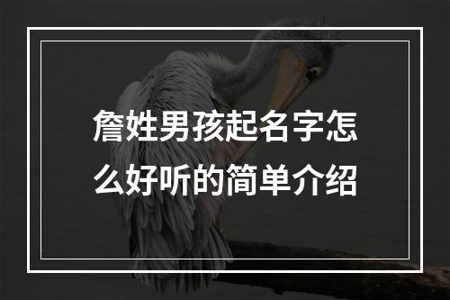 詹姓男孩起名字怎么好听的简单介绍