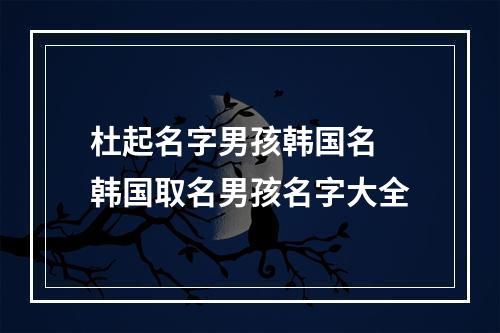 杜起名字男孩韩国名 韩国取名男孩名字大全
