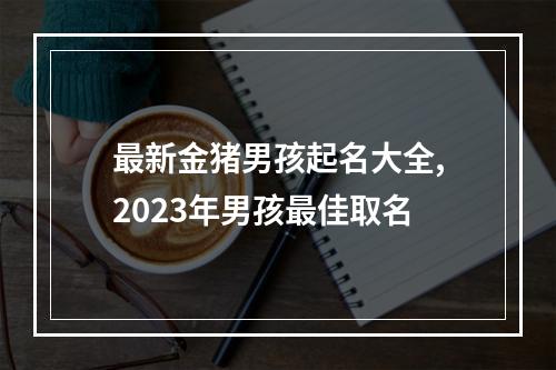 最新金猪男孩起名大全,2023年男孩最佳取名