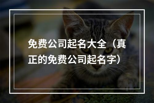 免费公司起名大全（真正的免费公司起名字）