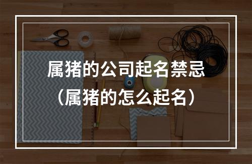 属猪的公司起名禁忌（属猪的怎么起名）