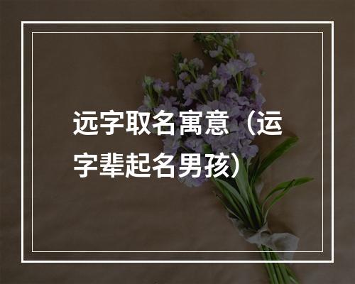 远字取名寓意（运字辈起名男孩）