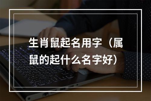生肖鼠起名用字（属鼠的起什么名字好）