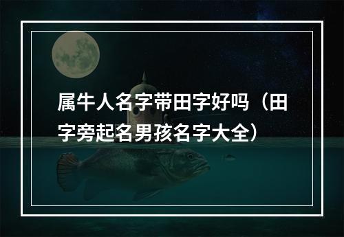 属牛人名字带田字好吗（田字旁起名男孩名字大全）