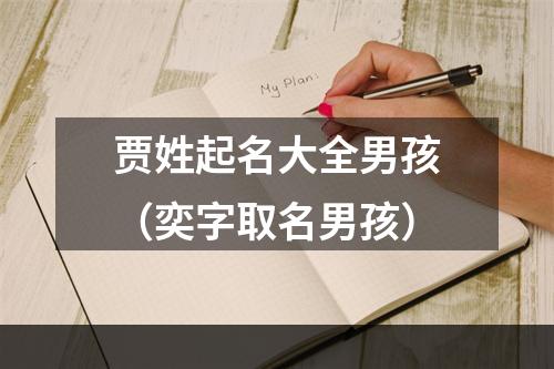 贾姓起名大全男孩（奕字取名男孩）