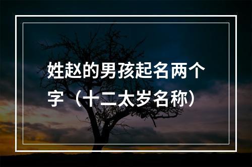 姓赵的男孩起名两个字（十二太岁名称）