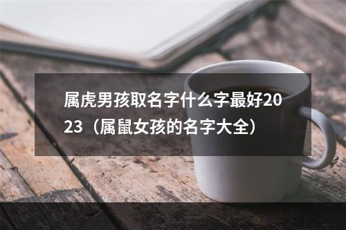 属虎男孩取名字什么字最好2023（属鼠女孩的名字大全）