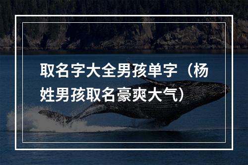 取名字大全男孩单字（杨姓男孩取名豪爽大气）