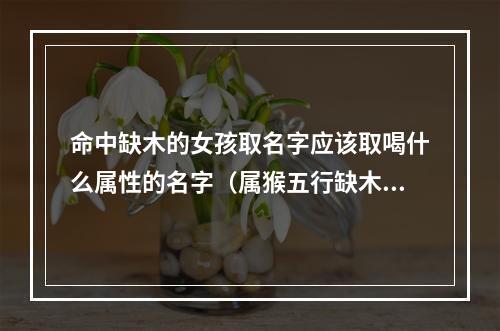 命中缺木的女孩取名字应该取喝什么属性的名字（属猴五行缺木的女孩名字）