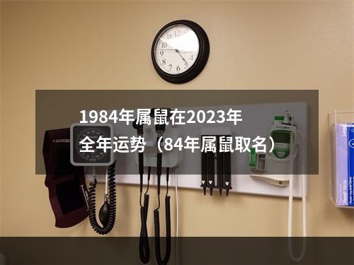1984年属鼠在2023年全年运势（84年属鼠取名）