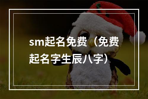 sm起名免费（免费起名字生辰八字）