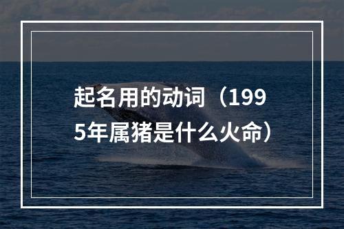起名用的动词（1995年属猪是什么火命）