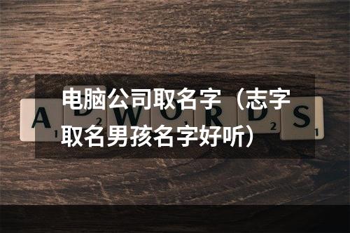 电脑公司取名字（志字取名男孩名字好听）