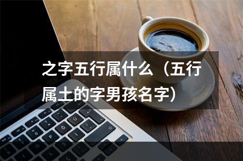 之字五行属什么（五行属土的字男孩名字）
