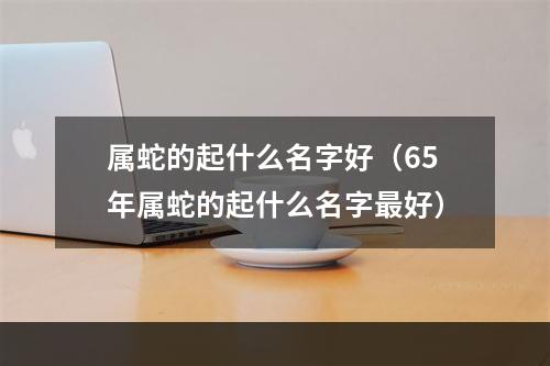 属蛇的起什么名字好（65年属蛇的起什么名字最好）