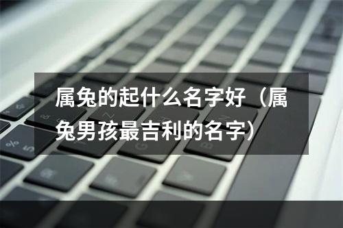 属兔的起什么名字好（属兔男孩最吉利的名字）