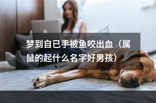 梦到自已手被鱼咬出血（属鼠的起什么名字好男孩）