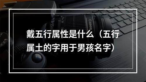 戴五行属性是什么（五行属土的字用于男孩名字）