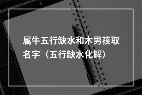 属牛五行缺水和木男孩取名字（五行缺水化解）