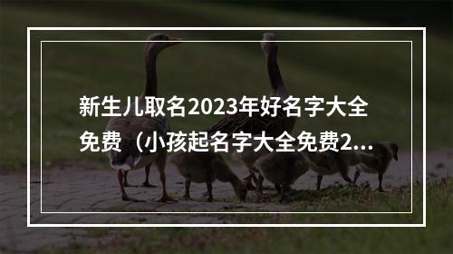 新生儿取名2023年好名字大全免费（小孩起名字大全免费2023年女孩）