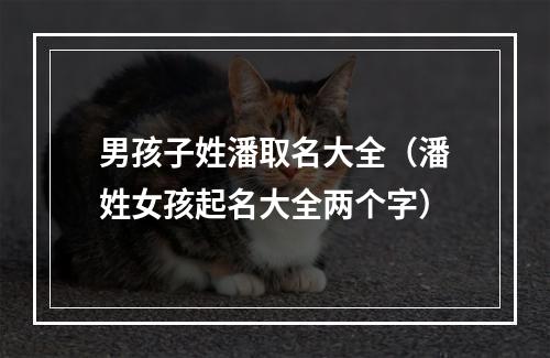 男孩子姓潘取名大全（潘姓女孩起名大全两个字）