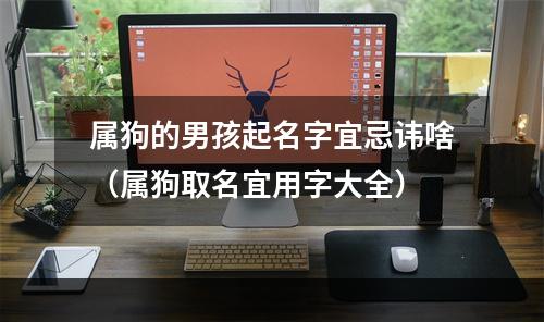 属狗的男孩起名字宜忌讳啥（属狗取名宜用字大全）