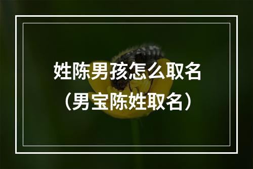 姓陈男孩怎么取名（男宝陈姓取名）