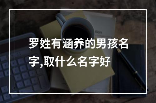 罗姓有涵养的男孩名字,取什么名字好