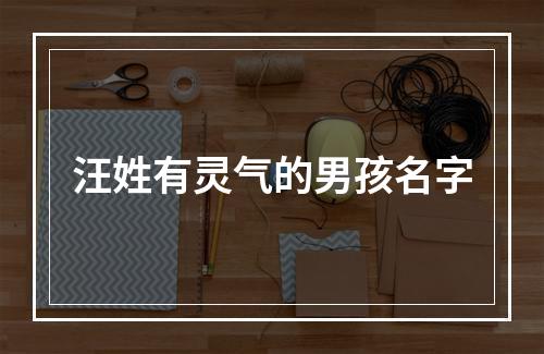 汪姓有灵气的男孩名字