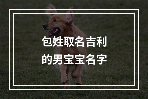 包姓取名吉利的男宝宝名字