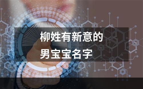 柳姓有新意的男宝宝名字