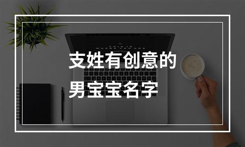 支姓有创意的男宝宝名字