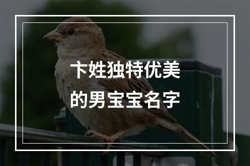 卞姓独特优美的男宝宝名字