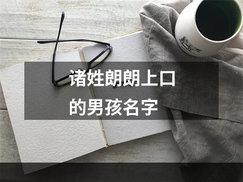 诸姓朗朗上口的男孩名字