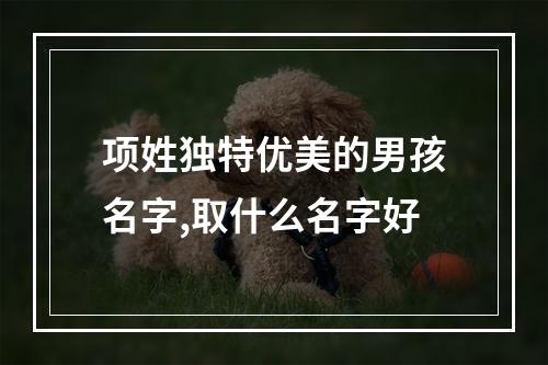 项姓独特优美的男孩名字,取什么名字好