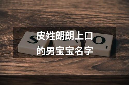 皮姓朗朗上口的男宝宝名字