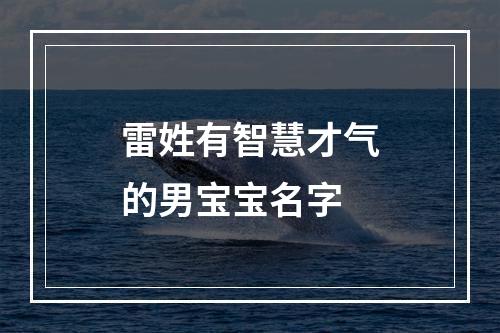 雷姓有智慧才气的男宝宝名字