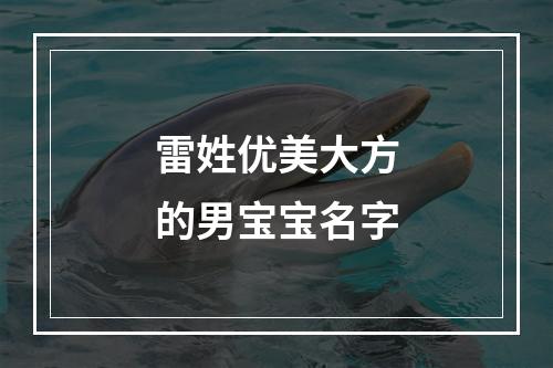 雷姓优美大方的男宝宝名字