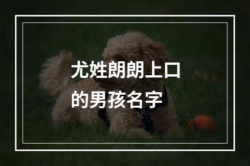 尤姓朗朗上口的男孩名字
