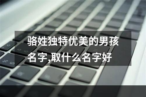 骆姓独特优美的男孩名字,取什么名字好
