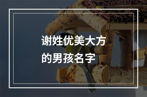 谢姓优美大方的男孩名字