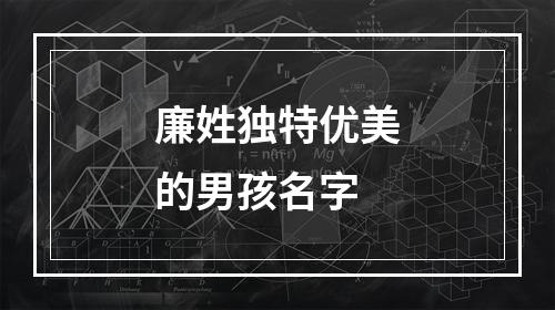 廉姓独特优美的男孩名字