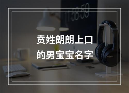 贲姓朗朗上口的男宝宝名字