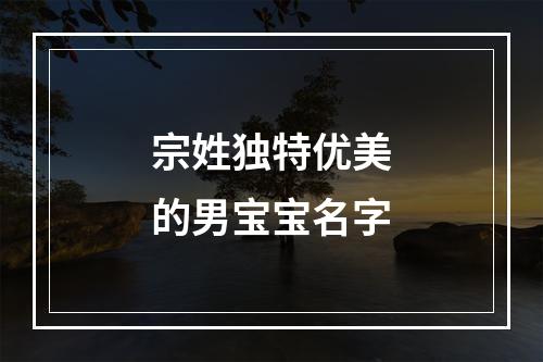 宗姓独特优美的男宝宝名字